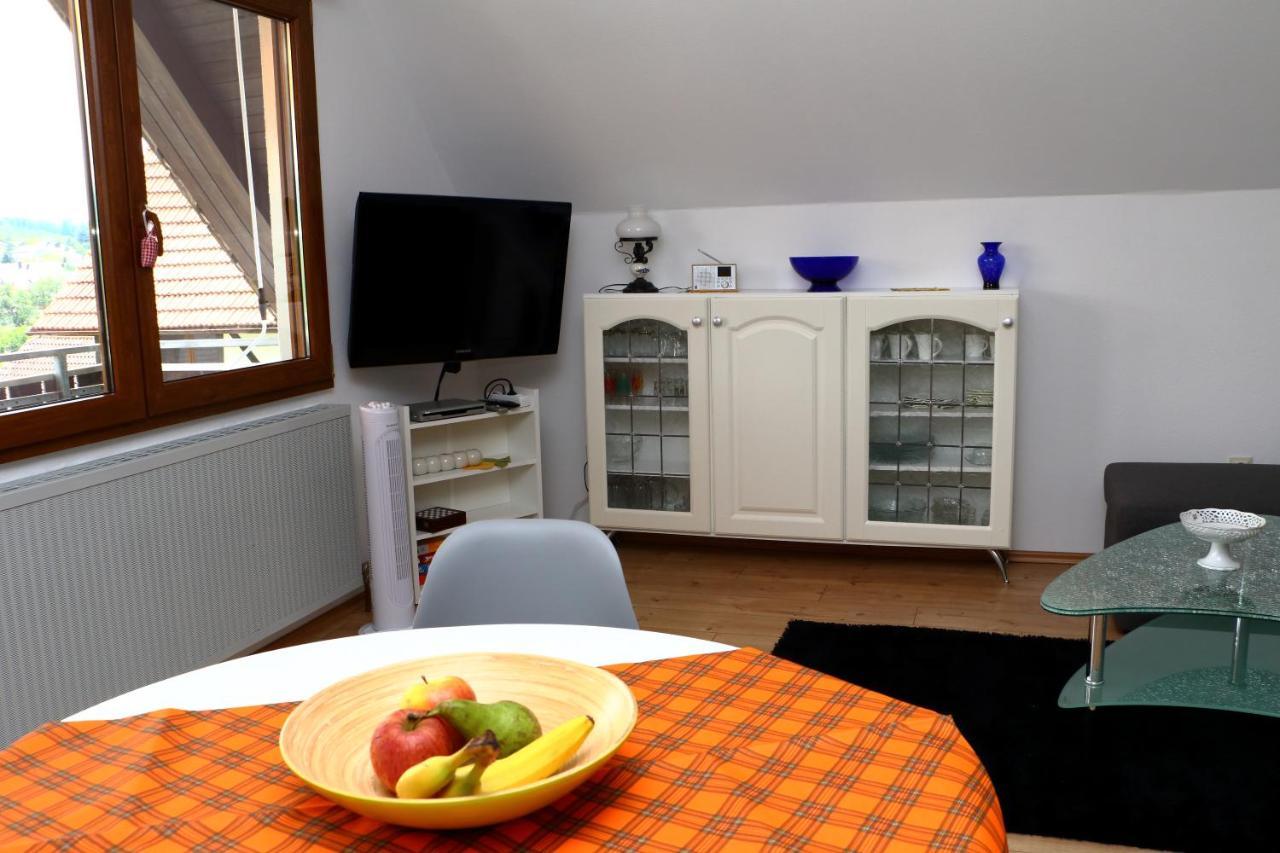 Schneider Apartment Durbach